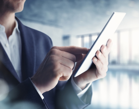 Gallery: Pellentesque non